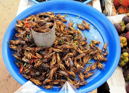 Cambodia Fried crickets