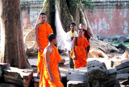 Cambodia Ta Prohm 24