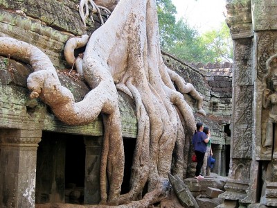 Cambodia Ta Prohm 31