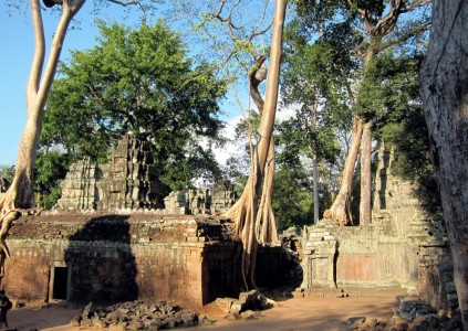 Cambodia Ta Prohm 37