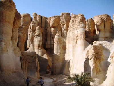 Saudi Arabia, Al-Hasa national park 12