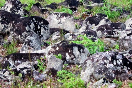 Costa Rica, Lava rocks