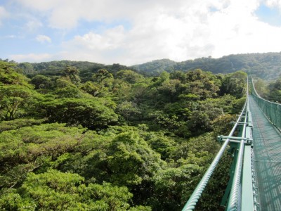 Costa Rica Monteverde, Selvatura Park, Hanging bridges 22