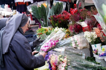 Padua, Market