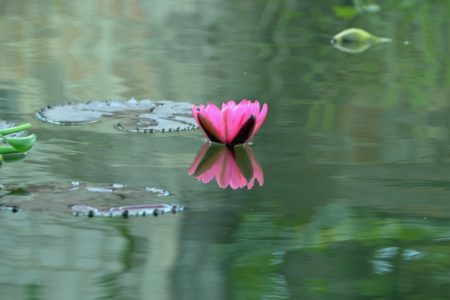 Inle Lake 18