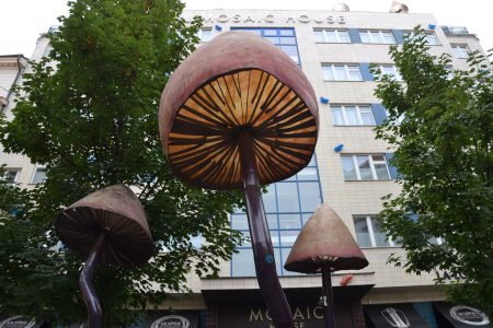 Street art 3